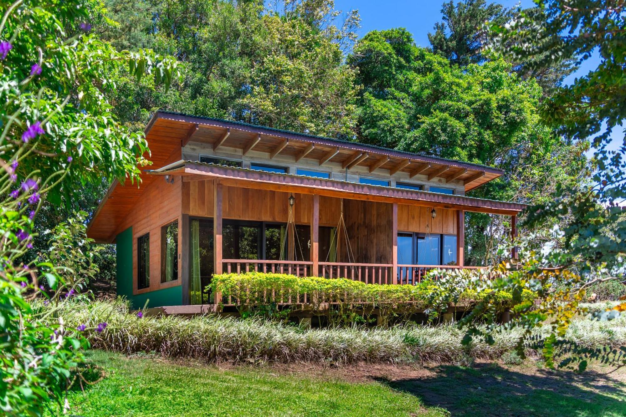 Campo - Costa Rica 2*